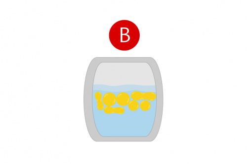 Je größer die Fett- oder Öltropfen, desto größer die Auftriebskräfte. Die Fetttropfen steigen daher zur Oberfläche auf (Zustand B). 